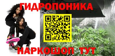 прущие грибы Абакан