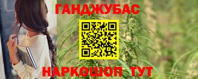 прущие грибы Абакан