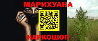 прущие грибы Абакан