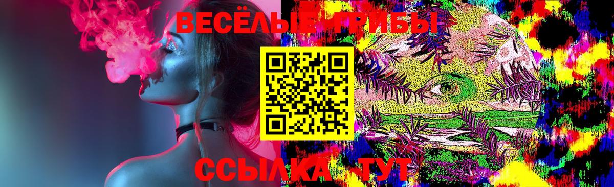 Карасук  Галлюциногенные грибы Psilocybe  Вход с VPN  Галлюциногенные грибы MAGIC MUSHROOMS 