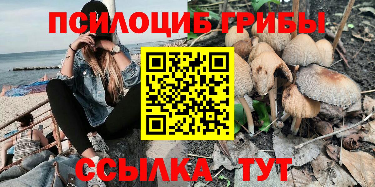 Псилоцибиновые грибы прущие грибы  Карасук 