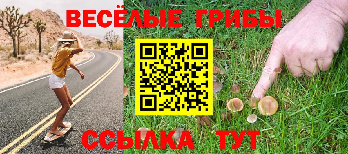 Галлюциногенные грибы мицелий Карасук